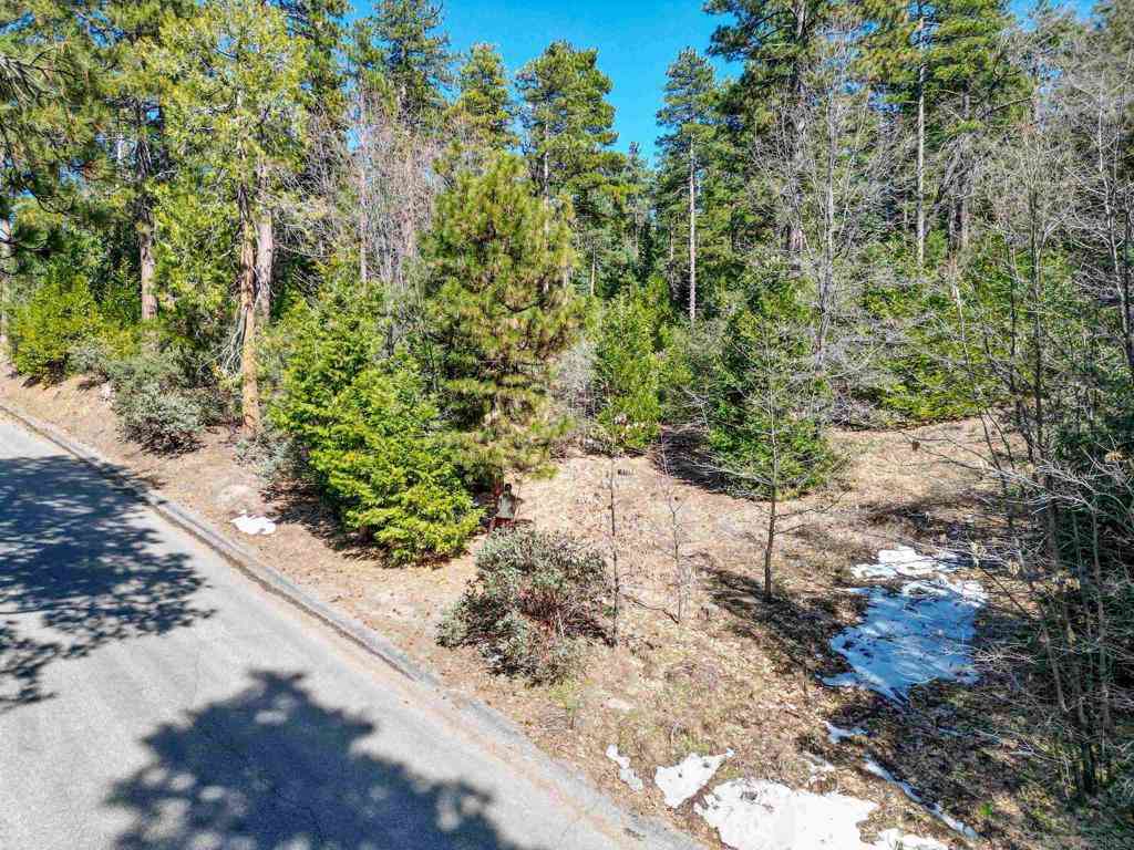 Vacant Land For Sale - Laurel Trail Lot<br/> Idyllwild, CA 92549