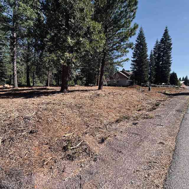 Vacant Land For Sale - 742 Red River Drive<br/> Lake Almanor, CA 96137