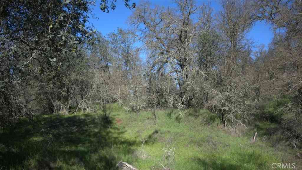 Homes For Sale - 123 Rail Bridge Rd<br/> Oroville, CA 95966