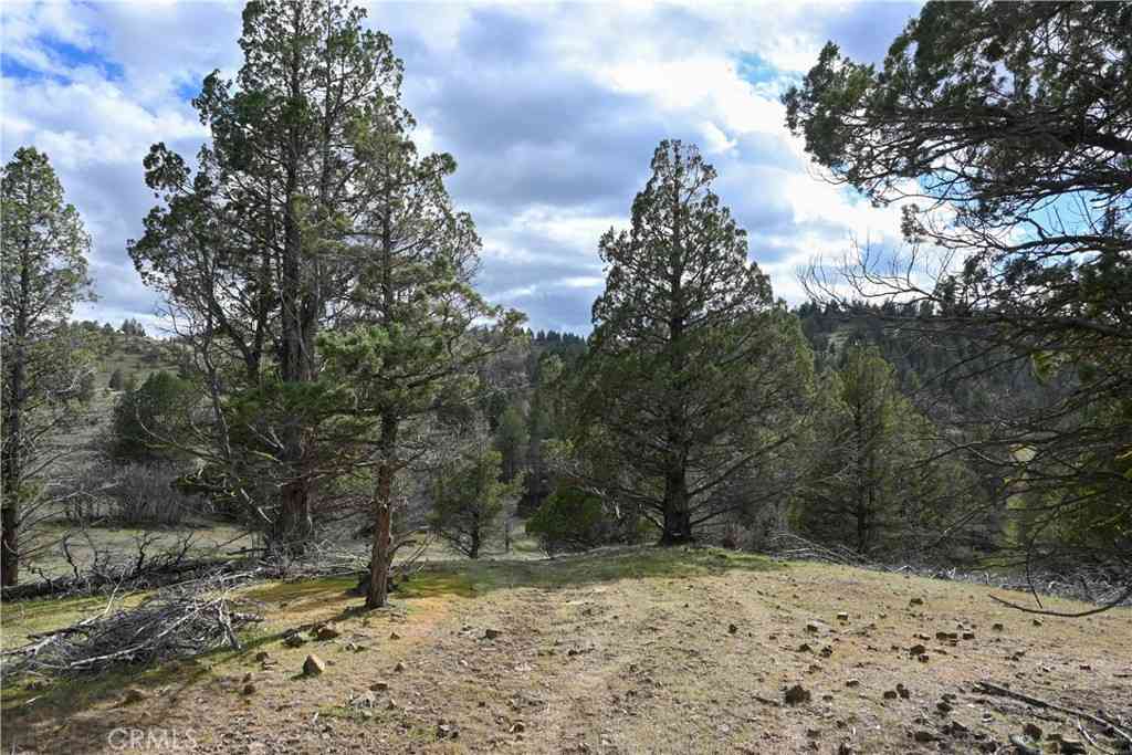 Vacant Land For Sale - Willit Way<br/> Montague, CA 96064