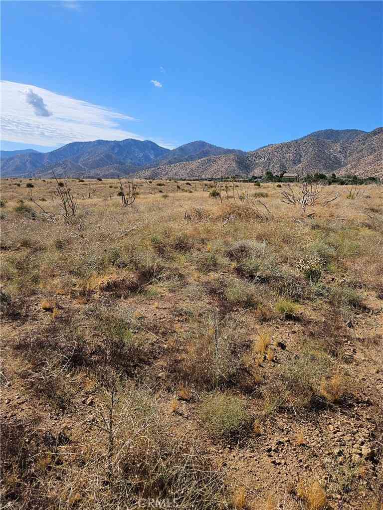 Vacant Land For Sale - 116 E Street East<br/> Juniper Hills, CA 93543