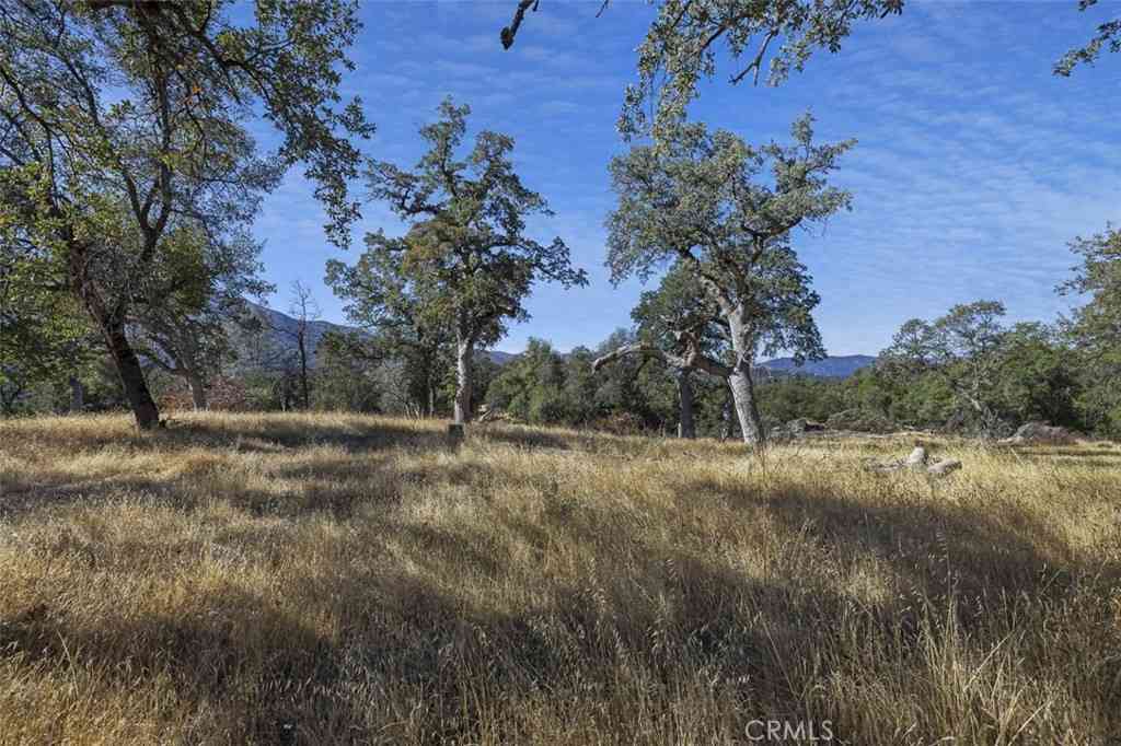 Vacant Land For Sale - 0 39.29 AC Village Drive<br/> Oakhurst, CA 93644