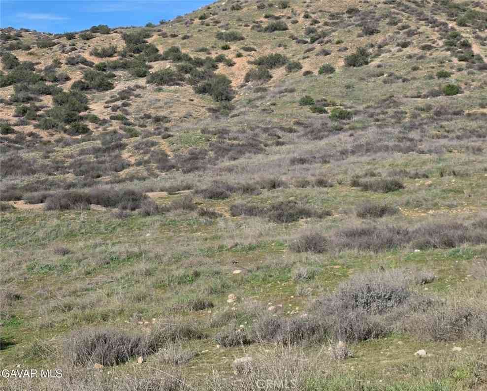 Vacant Land For Sale - Vic Desert Springs Av<br/> Palmdale, CA 93551