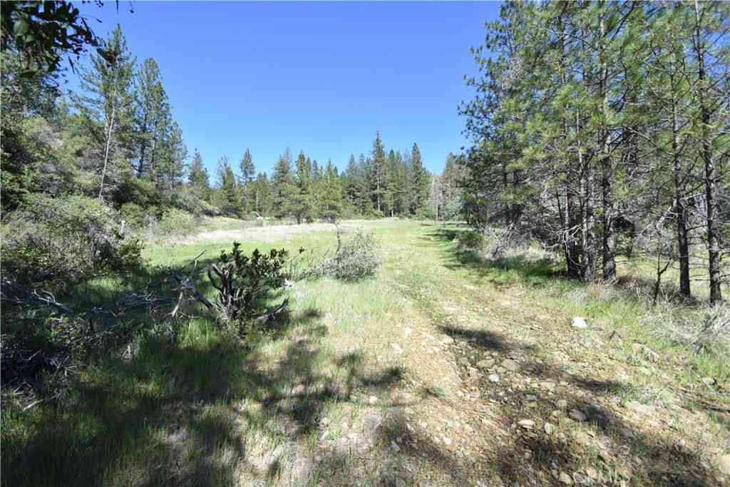Vacant Land For Sale - 17861 Ponderosa<br/> Oroville, CA 95966