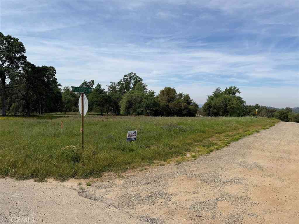 Vacant Land For Sale - 5 ACRES Mountain Springs Road<br/> North Fork, CA 93643