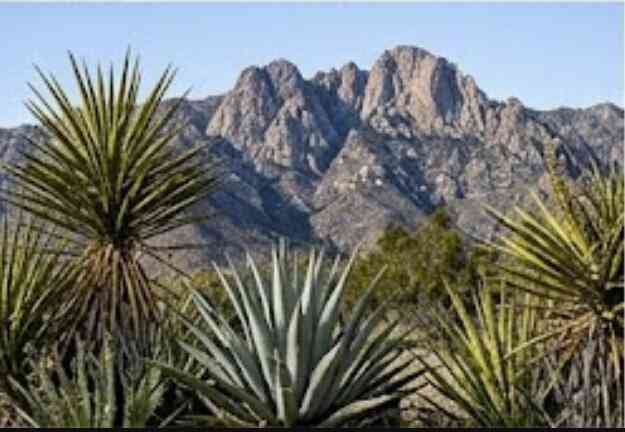 Vacant Land For Sale - 63330 Jeraboa Road<br/> Mountain Center, CA 92561