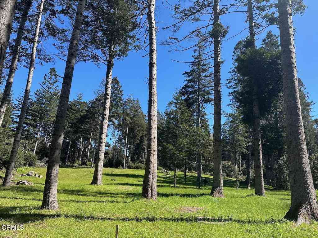 Vacant Land For Sale - 26555 Highway 1<br/> Fort Bragg, CA 95437