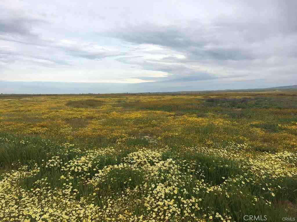 Vacant Land For Sale - Burbank<br/> California Valley, CA 93453