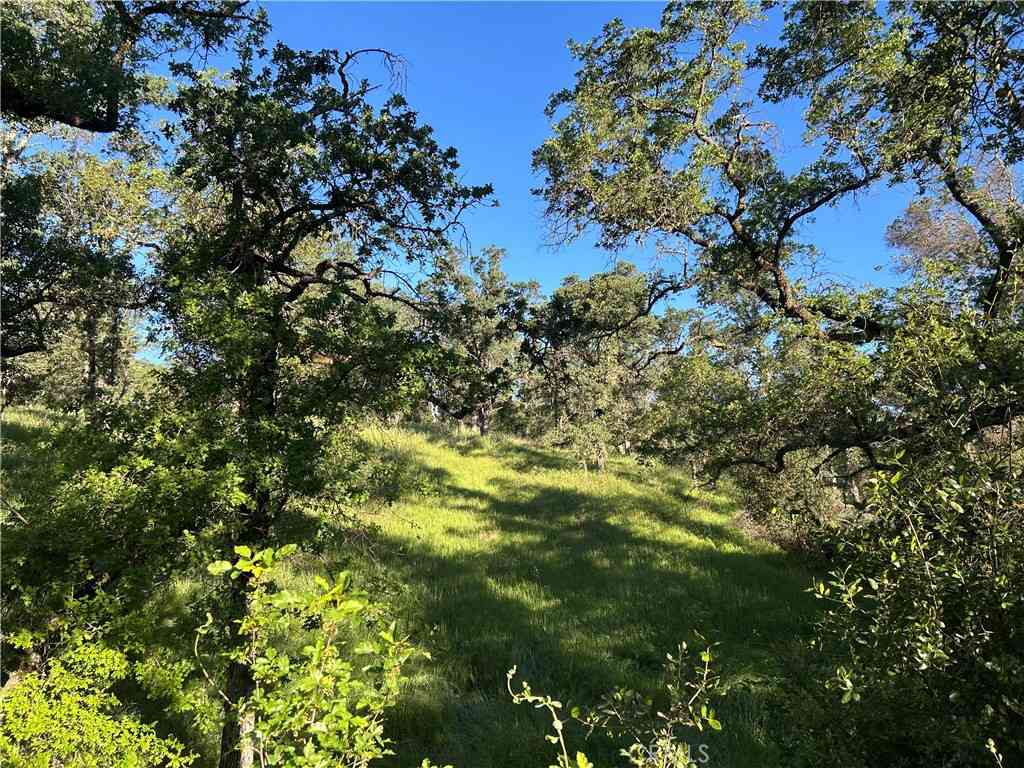 Vacant Land For Sale - Rolling Oaks<br/> Bangor, CA 95901