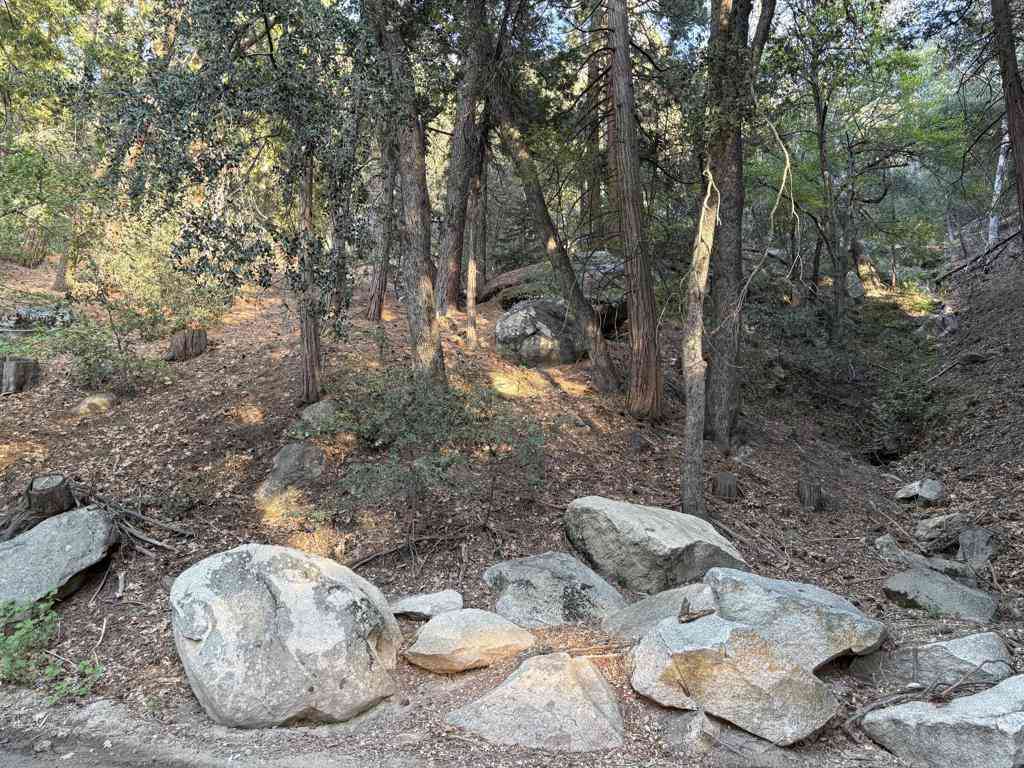 Vacant Land For Sale - Tahquitz View Drive<br/> Idyllwild, CA 92549
