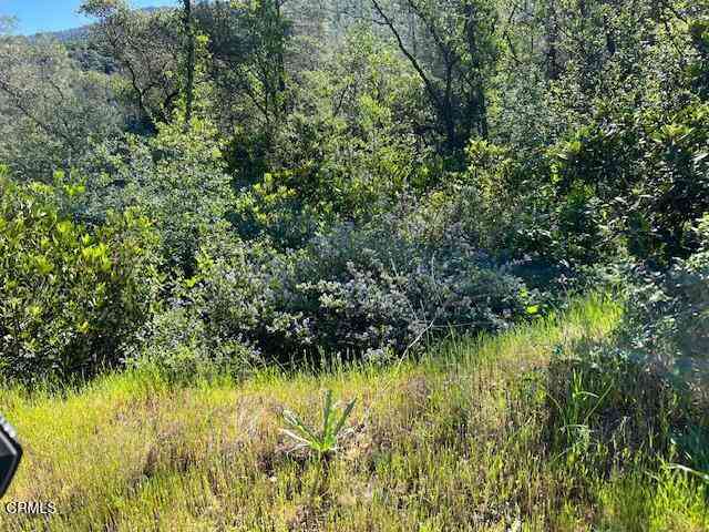Vacant Land For Sale - Rocky Top Road<br/> Oroville, CA 95965