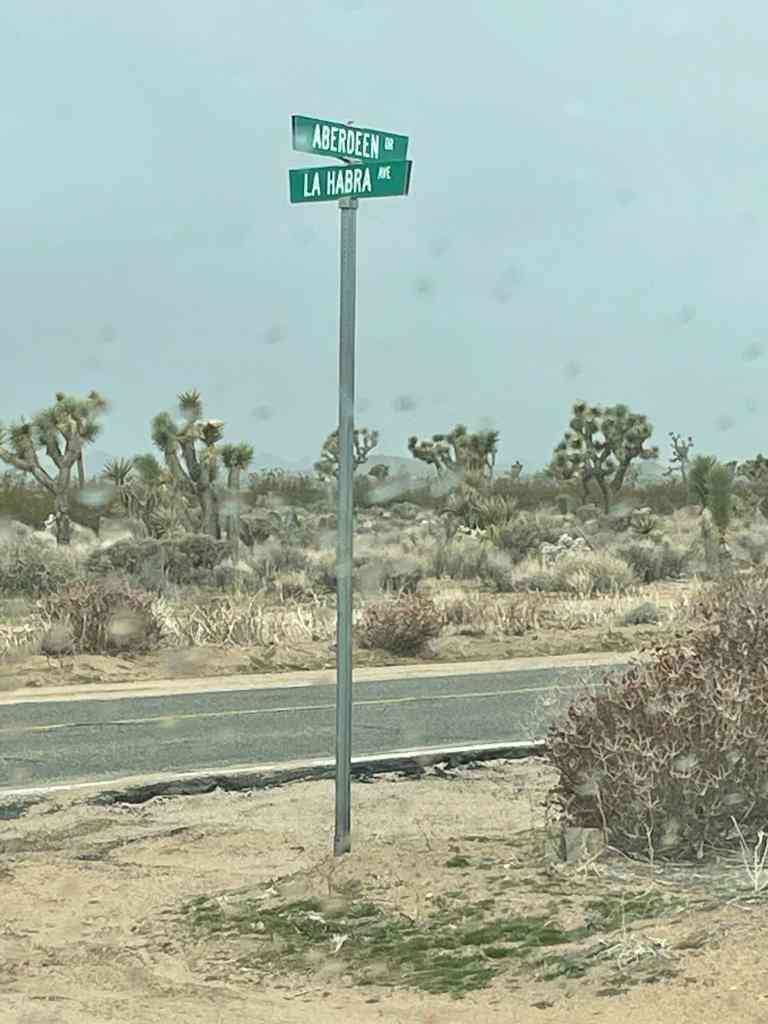 Vacant Land For Sale - 58383 Beaver Tail Lane<br/> Yucca Valley, CA 92284