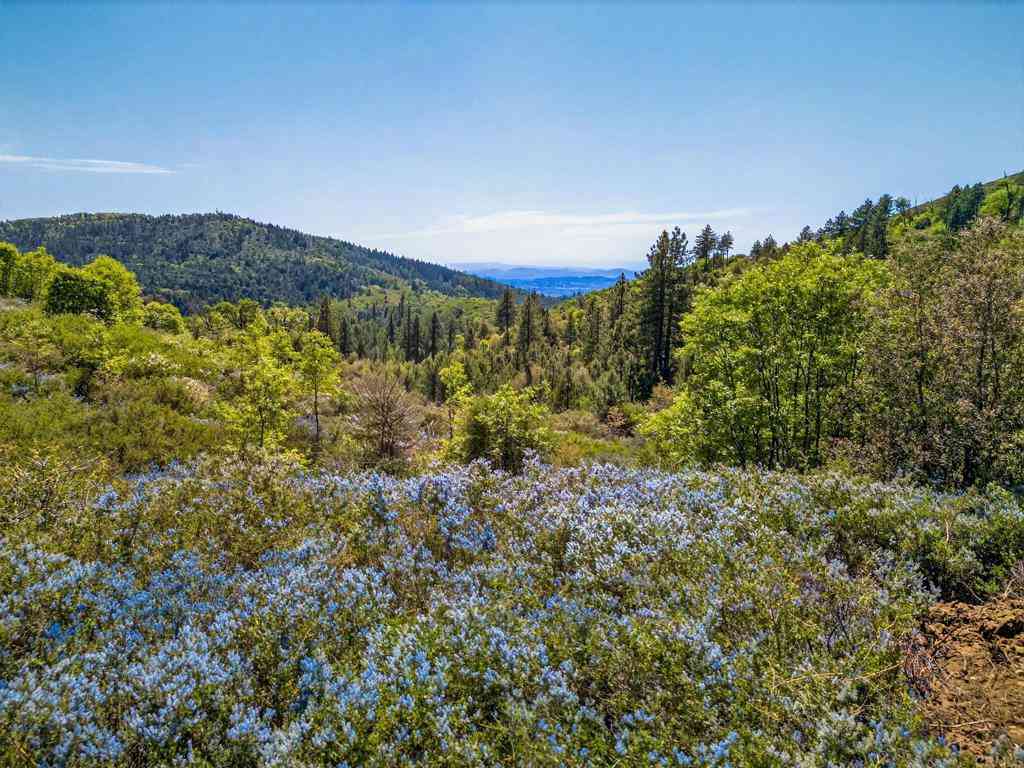 Vacant Land For Sale - 200 +/- ACRES Palomar Divide Truck Trail<br/> Palomar Mountain, CA 92060