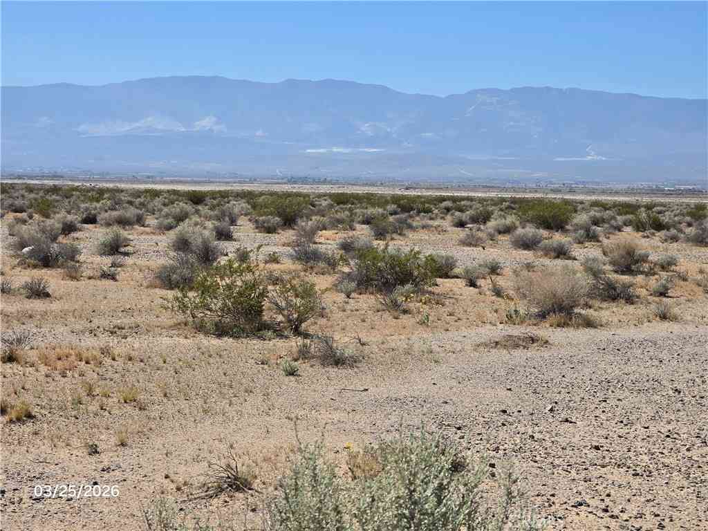 Vacant Land For Sale - Santa Fe Road<br/> Lucerne Valley, CA 92356