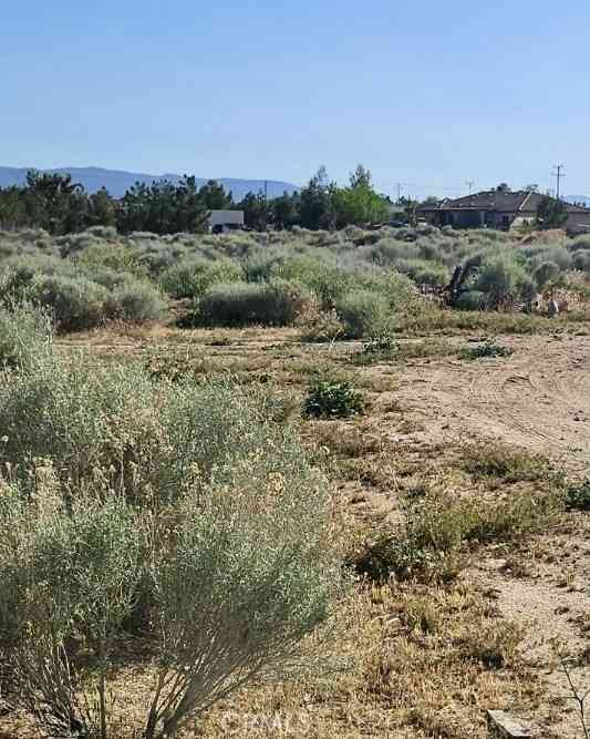 Vacant Land For Sale - Sage<br/> Hesperia, CA 92344