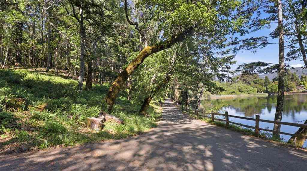 Homes For Sale - 19730 Black Road<br/> Los Gatos, CA 95033