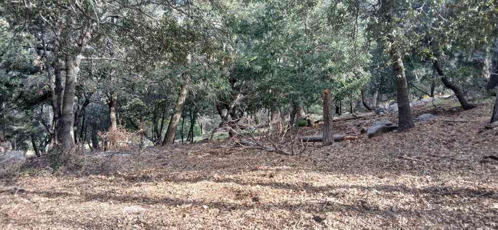 Vacant Land For Sale - Alder Creek Road<br/> Crestline, CA 92325