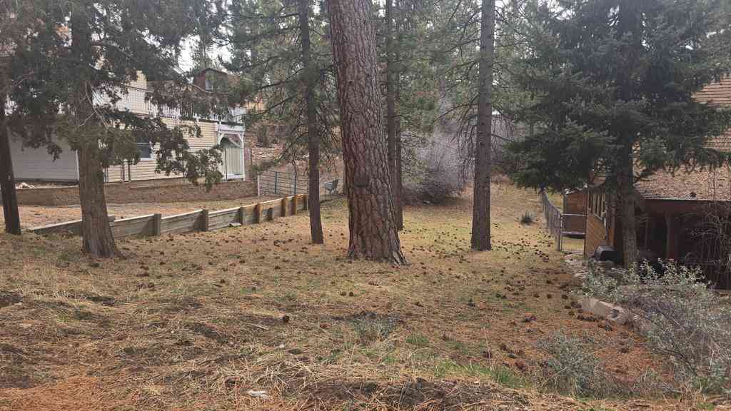 Vacant Land For Sale - 0 CONIFER Conifer<br/> Big Bear, CA 92315