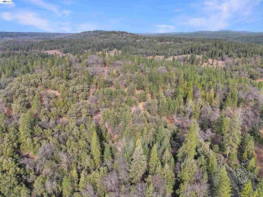 Vacant Land For Sale - 4700 Kelley Pl<br/> Garden Valley, CA 95633