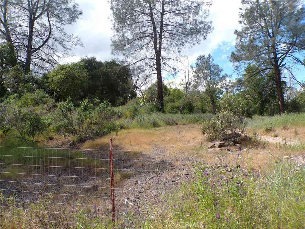 Vacant Land For Sale - 14304 Redbud<br/> Clearlake, CA 95422