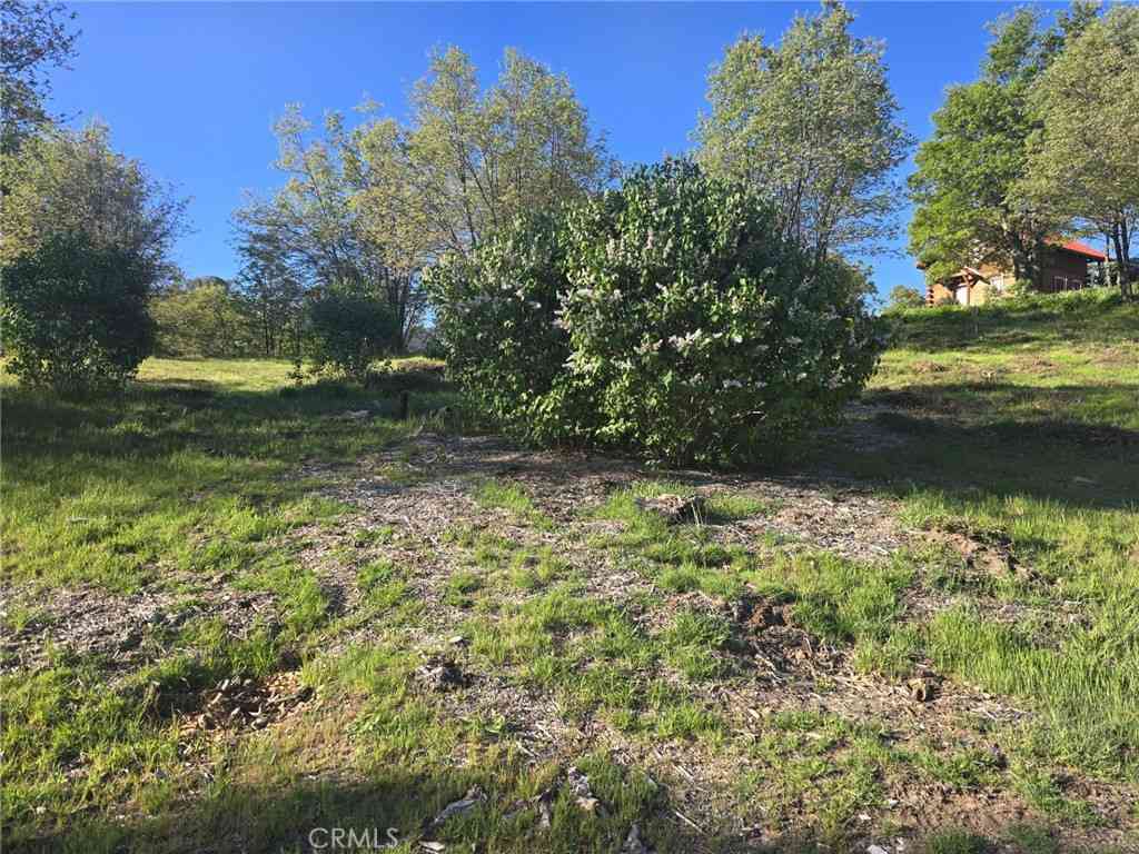 Vacant Land For Sale - 29783 Redwood<br/> Cedar Glen, CA 92321