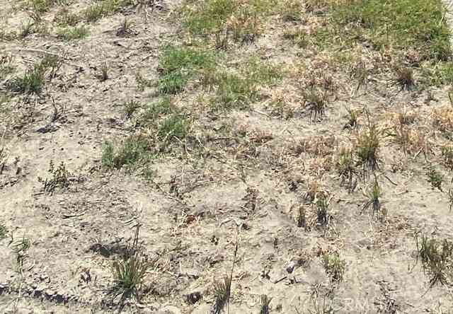 Vacant Land For Sale - 1 A<br/> Ridgecrest, CA 93555