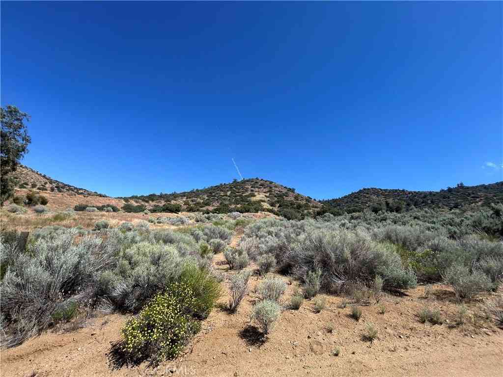 Vacant Land For Sale - Vac/alluvium Wy (drt)/vic Rosenl<br/> Acton, CA 91350