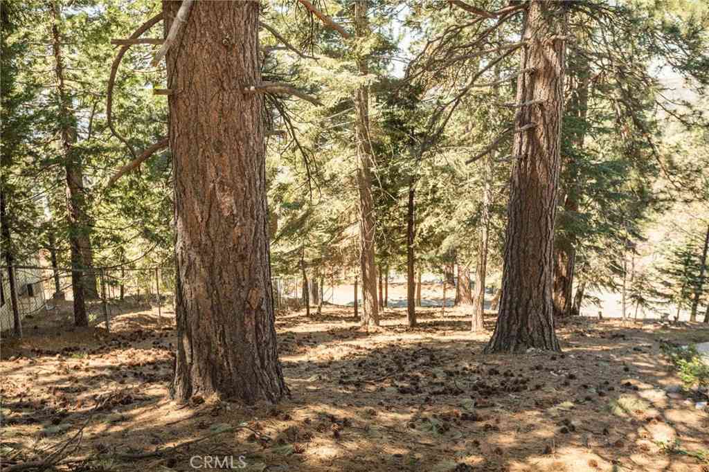 Vacant Land For Sale - 30908 Glen Oak<br/> San Bernardino County, Running Springs, CA 92382