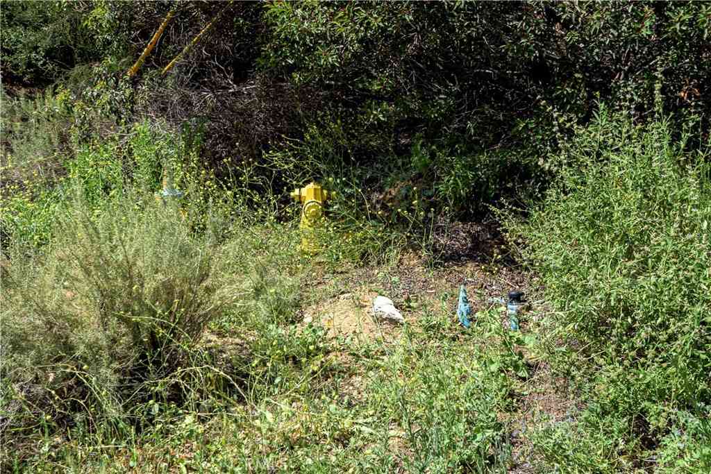 Vacant Land For Sale - 7451 Verdugo Crestline<br/> Los Angeles County, Tujunga, CA 91042