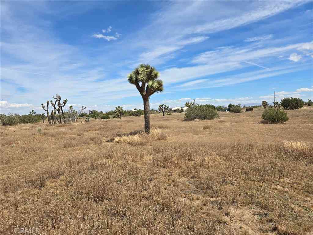Vacant Land For Sale - Aster<br/> Oak Hills, CA 92344