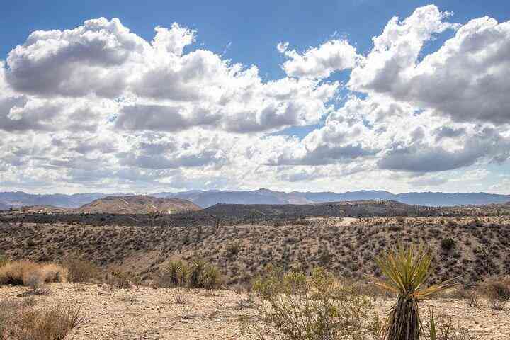 Vacant Land For Sale - 57352 Sunflower Drive<br/> San Bernardino County, Yucca Valley, CA 92284