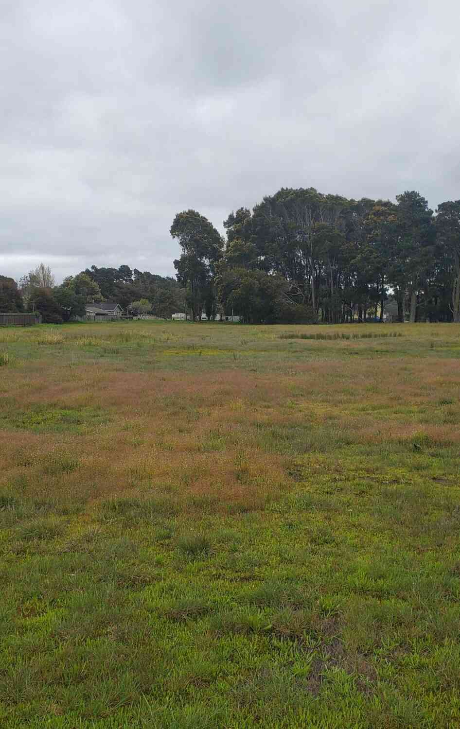 Vacant Land For Sale - 970 E Chestnut Street<br/> Mendocino County, Fort Bragg, CA 95437