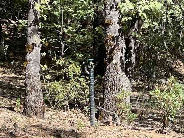 Vacant Land For Sale - 9208 Diamond Dust<br/> Kelseyville, CA 95451