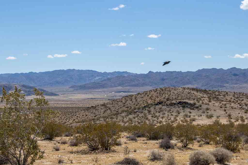 Vacant Land For Sale - 142 Shifting Sands<br/> San Bernardino County, Joshua Tree, CA 92252