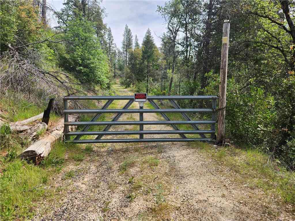 Vacant Land For Sale - 1977 Big Ridge<br/> Butte County, Berry Creek, CA 95916