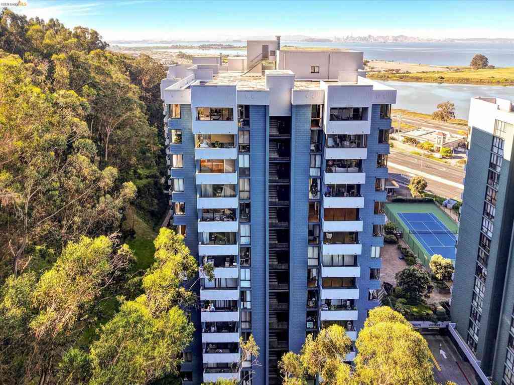 Condo For Sale - 555 Pierce St #520<br/> Albany, CA 94706