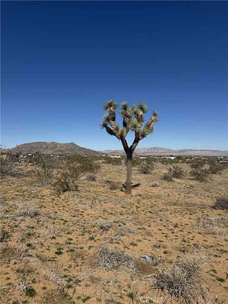 Vacant Land For Sale - 575 N Covelo Avenue<br/> Landers, CA 92285