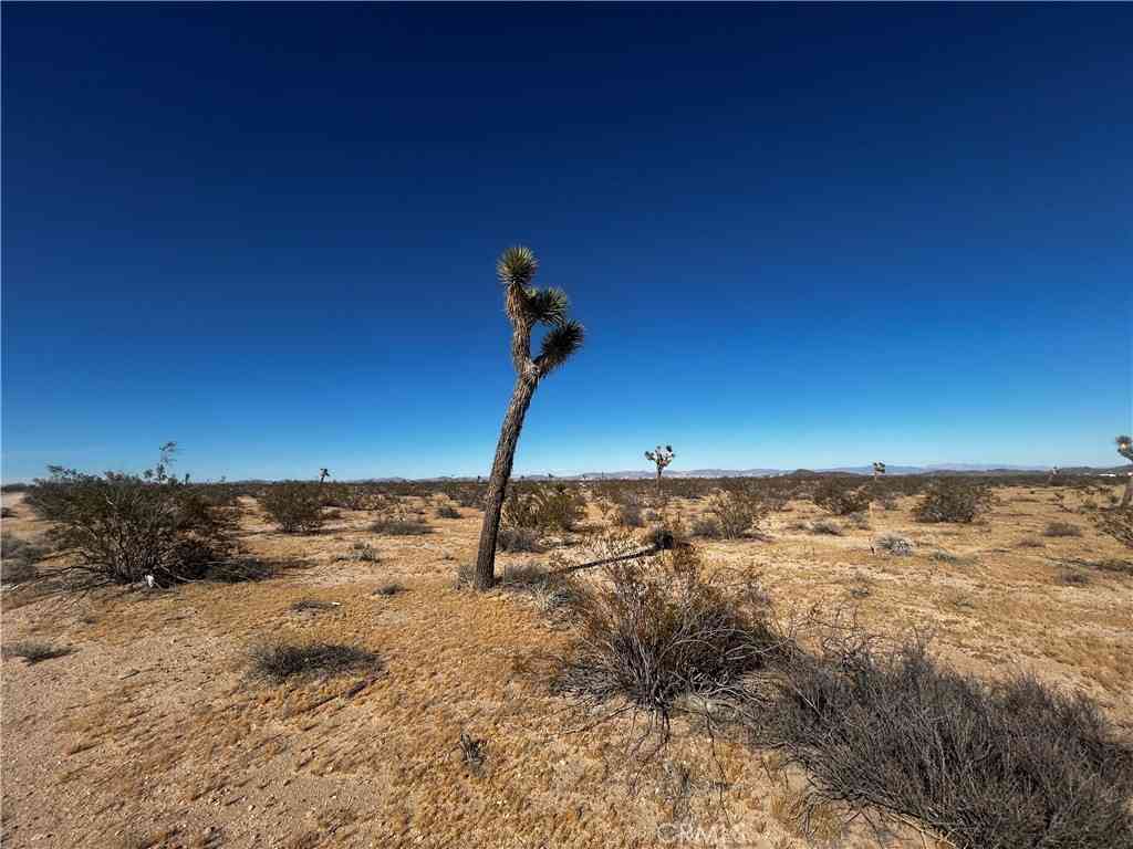 Vacant Land For Sale - Celesta<br/> San Bernardino County, Joshua Tree, CA 92252