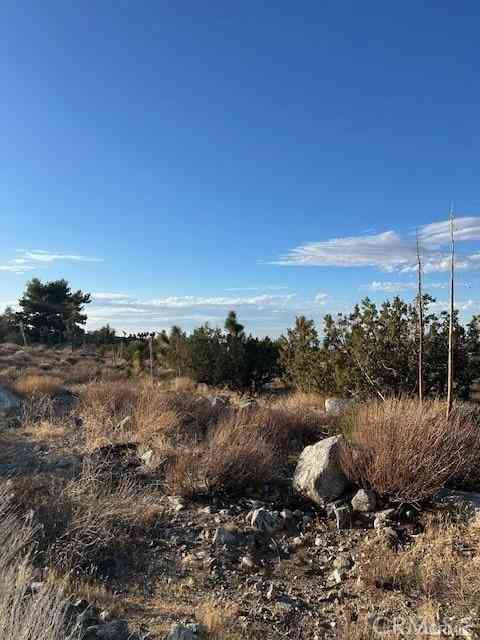 Vacant Land For Sale - Yucca<br/> San Bernardino County, Pinon Hills, CA 92372