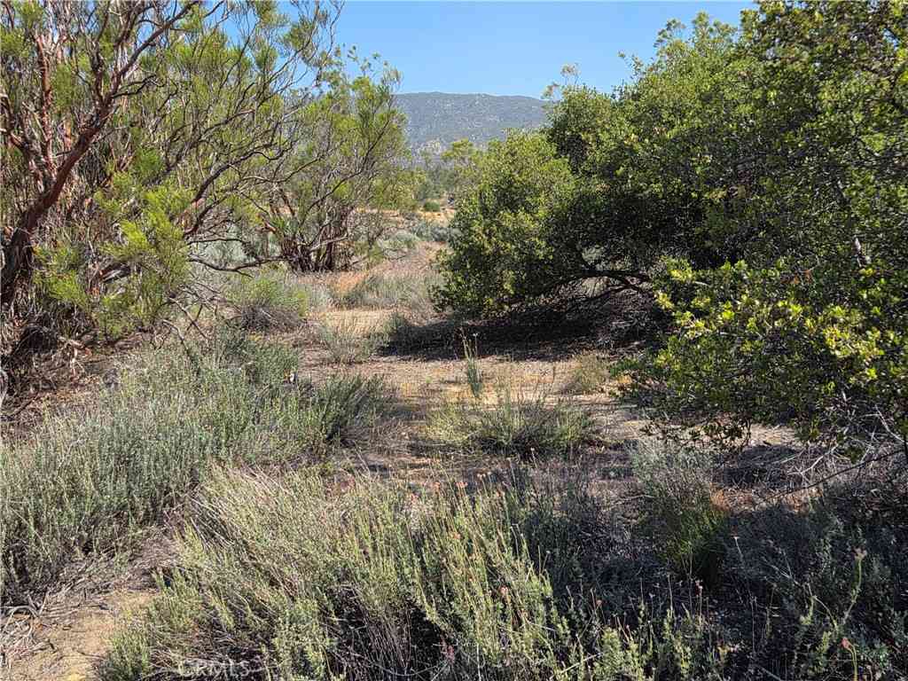 Vacant Land For Sale - 56941 Cain<br/> Anza, CA 92539