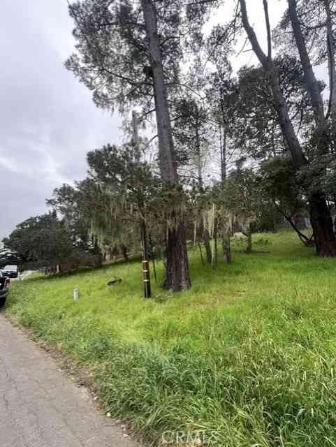 Vacant Land For Sale - Mills<br/> Cambria, CA 93428