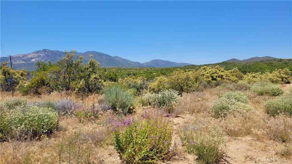 Vacant Land For Sale - Glenda Lane<br/> Anza, CA 92539