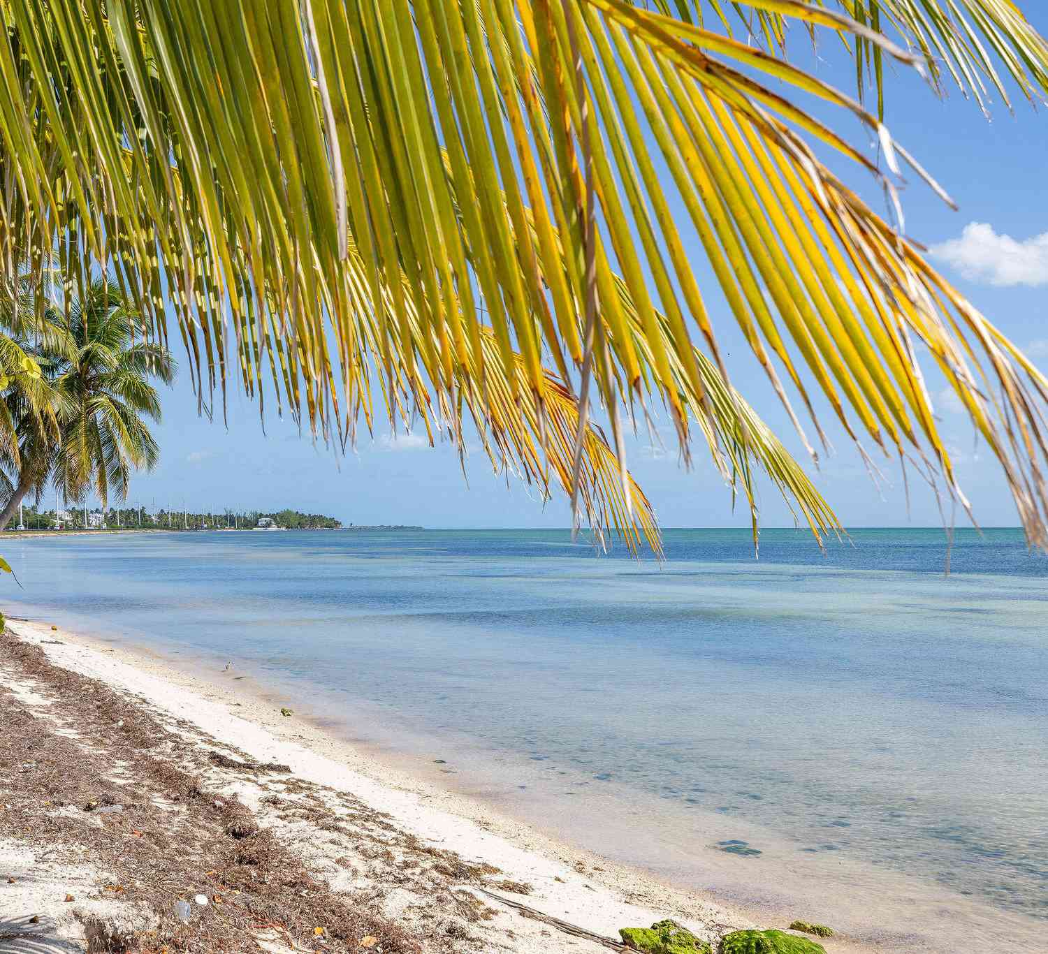 Homes For Sale - 74049 Overseas Highway HIGHWAY<br/> Monroe County, Islamorada, FL 33036