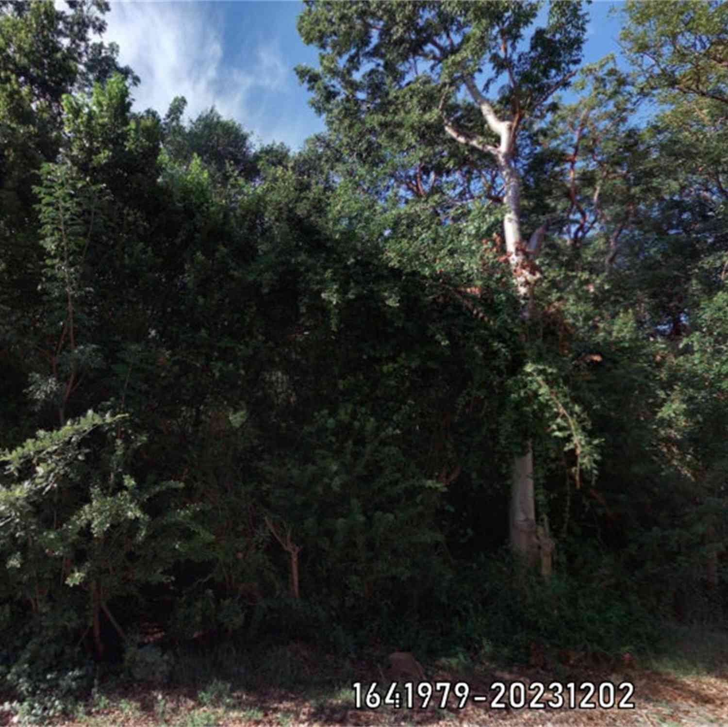 Vacant Land For Sale - Poinsetta Drive DRIVE<br/> Key Largo, FL 33037
