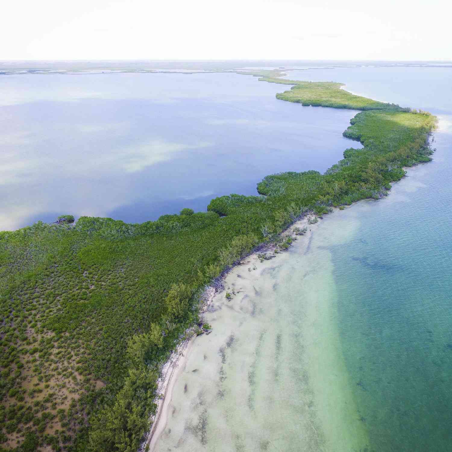 Vacant Land For Sale - Main Key, Barnes Sound<br/> Key Largo, FL 33037