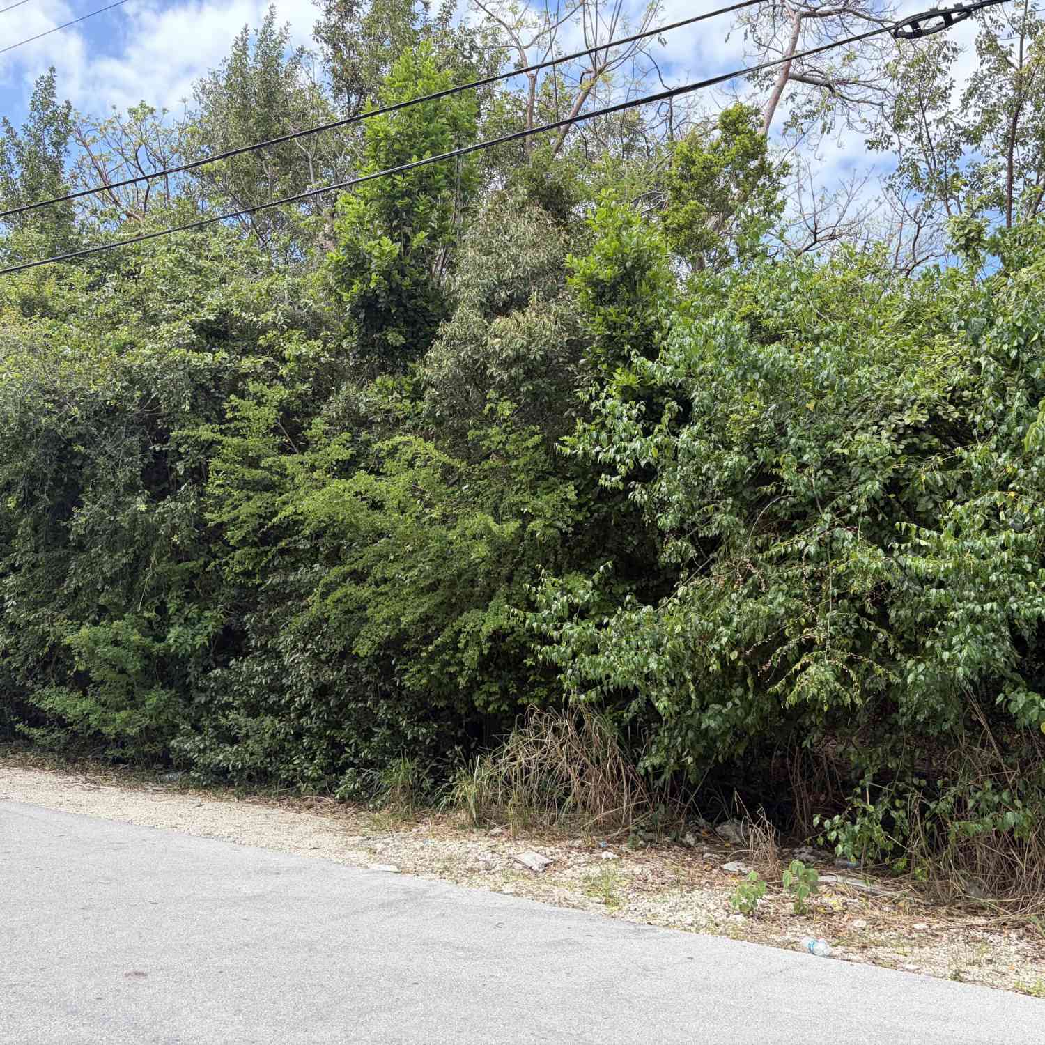 Vacant Land For Sale - 1028 Snapper Lane LANE<br/> Key Largo, FL 33037