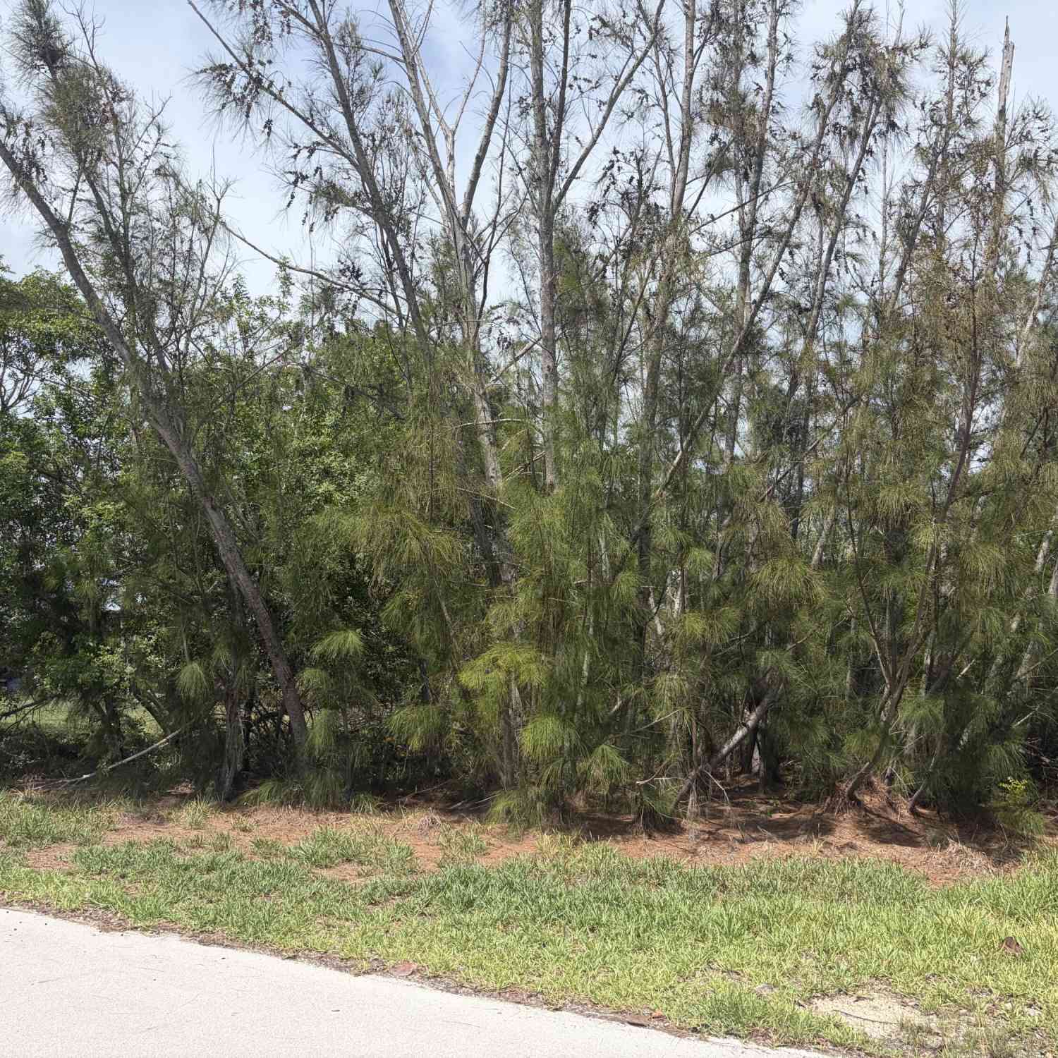 Vacant Land For Sale - Lobstertail Road ROAD<br/> Monroe County, Big Pine Key, FL 33043