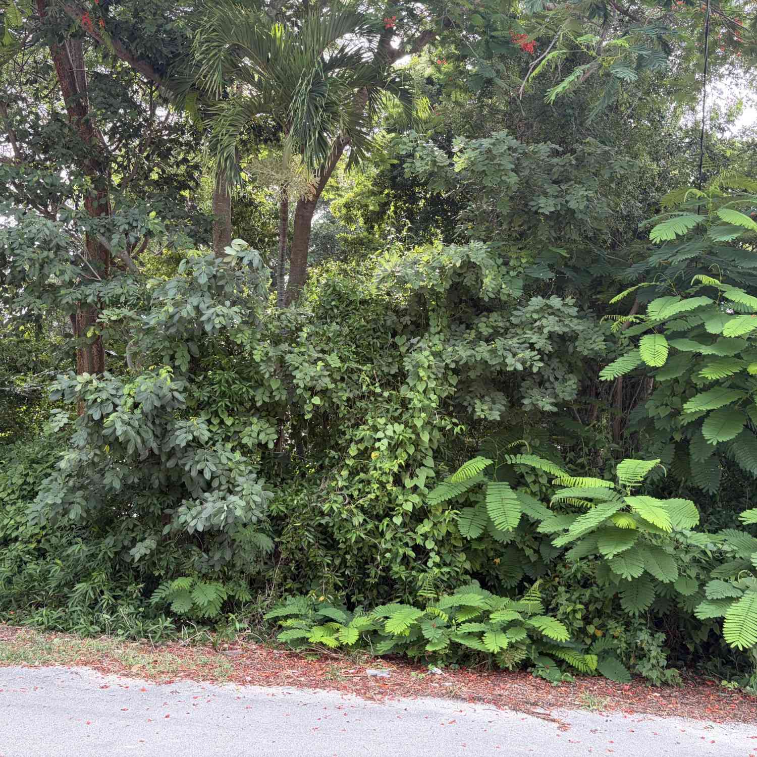Vacant Land For Sale - 657 Colson Drive DRIVE<br/> Monroe County, Key Largo, FL 33037