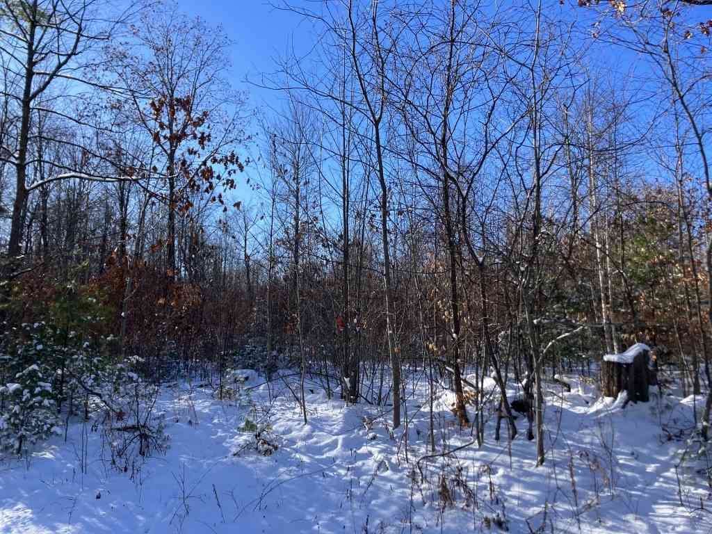 Other For Sale - Calkins Road,<br/> Peru, NY 12972