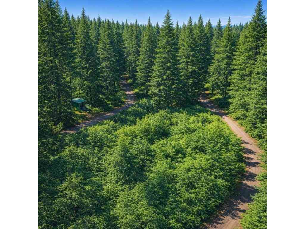 Other For Sale - 56925 382nd Avenue Ct E<br/> Ashford, WA 98304